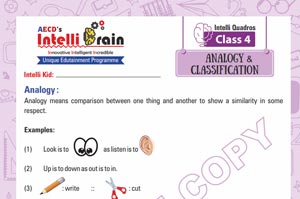 intelli quadros_analogy & classifiation class-4