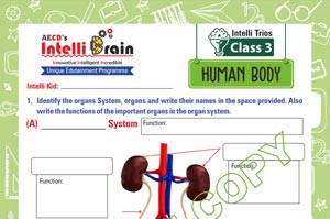 intelli trios human body class-3